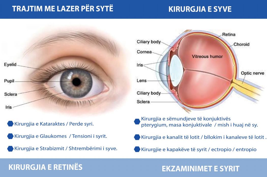 QENDRA SHQIPTARE E SYVE